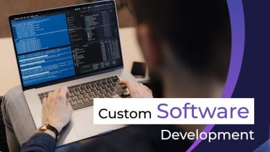 custom-software-development-services-and-their-innovative-solutions