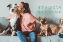 pet-safe-vs-pet-friendly-ice-melt:-the-hidden-truth-of-these-misunderstood-labels